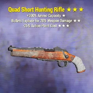 Weapon | QE25 Hunting Rifle