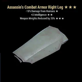 Ass Intel Wwr Combat RL