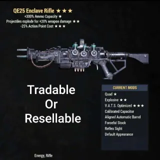 QE25 Enclave Rifle