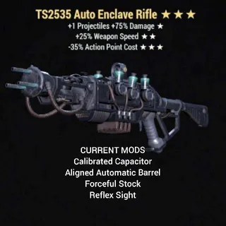 TS2535 Auto Enclave Rifle