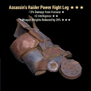 Ass Intel Wwr Raider RL