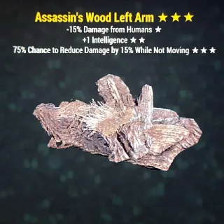 Apparel | Ass Intel Sent Wood LA
