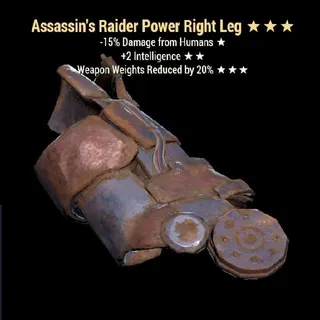 Ass Intel Wwr Raider RL