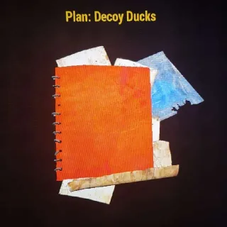Decoy Ducks Plan x30