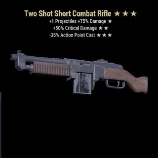 TS50c35 Combat Rifle