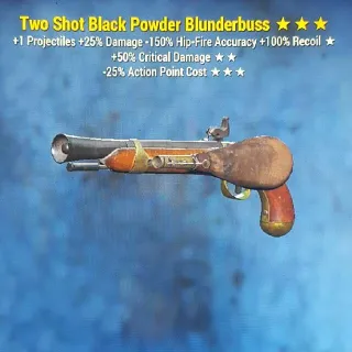 Weapon | TS5025 Black Powder