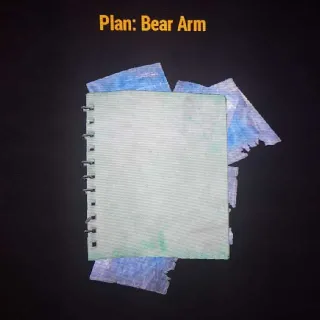 Bear Arm Plan x20