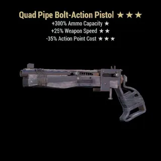 Q2535 Pistol