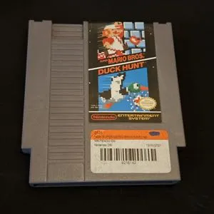 Super Mario Brothers /Duck Hunt