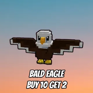 X5 bald eagle