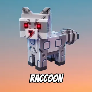 Raccoon