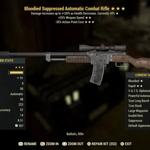 NW modded combat rifle
