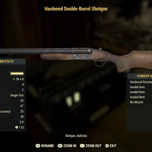 Nw double barrel shotgun