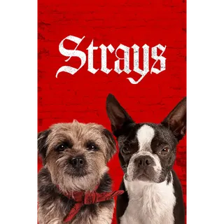 Strays - 4K (Movies Anywhere)