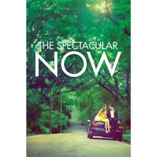 The Spectacular Now - SD (Vudu)