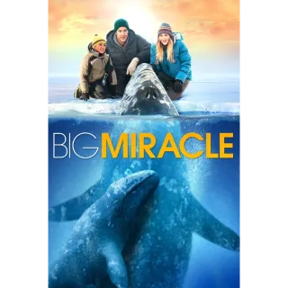 Big Miracle - HD (iTunes)