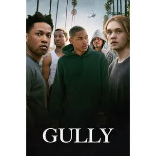 Gully - 4K (Vudu)