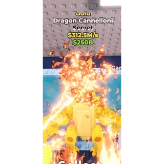 312.5M/S GOLD DRAGON CANNELLONI