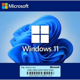 Windows 11 PRO