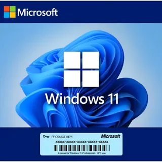 Windows 11 pro