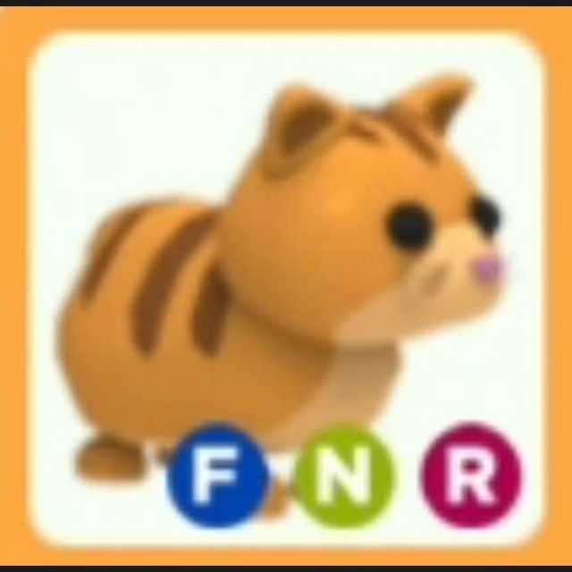 Pet Adopt me Ginger Cat Game Items Gameflip