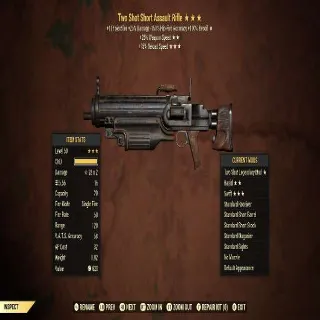 Weapon | TS2515 Assault Rifle