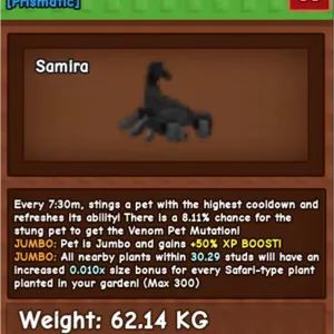 1x jumbo 62kg scorpion