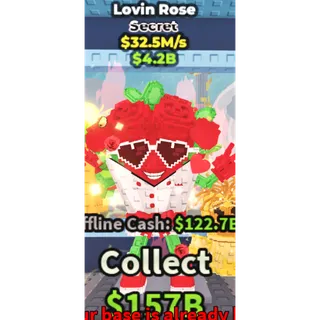 lovin rose 32.5m