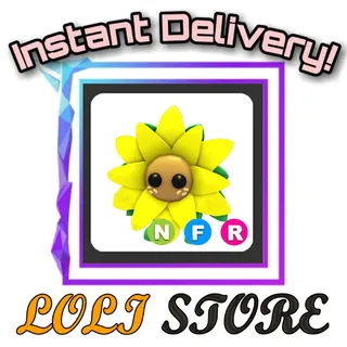 NFR Sunflower Friend