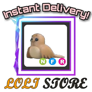 NFR Galapagos Sea Lion