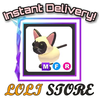 MFR SIAMESE CAT
