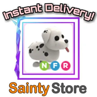 NFR Dalmatian