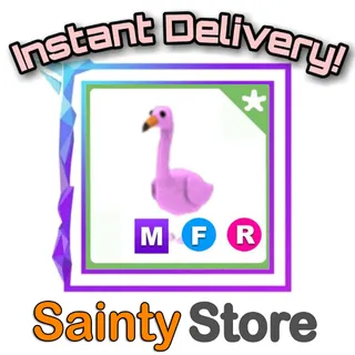 MFR FLAMINGO