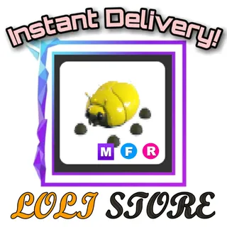 MFR Giant Gold Scarab