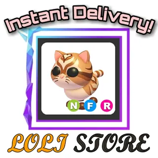 NFR Catte 