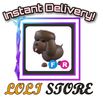 FR irish Water Spaniel