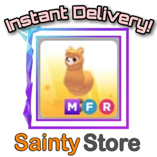 MFR ALPACA