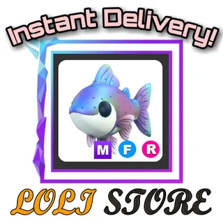 MFR Rainbow Trout