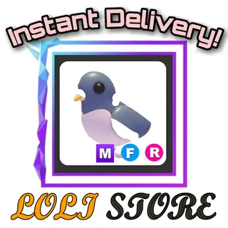 MFR Wood Pigeon