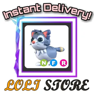 NFR Alley Cat