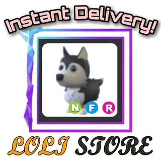 NFR Husky