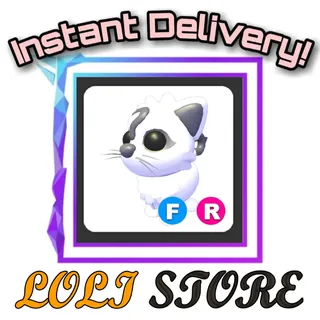 FR Copycat