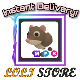 MFR Shrew