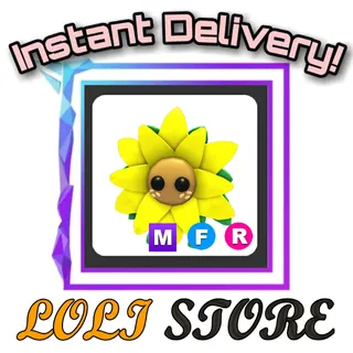 MFR Sunflower Friend