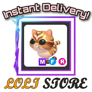 MFR Catte 