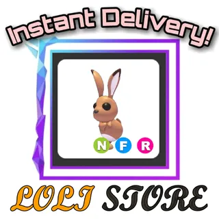 NFR Hare