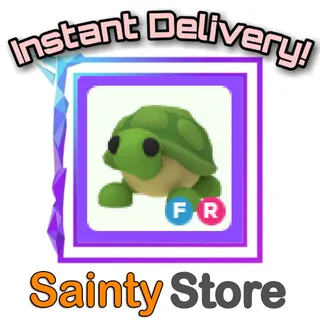 FR Turtle
