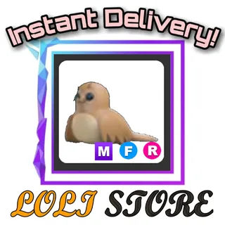 MFR Galapagos Sea Lion