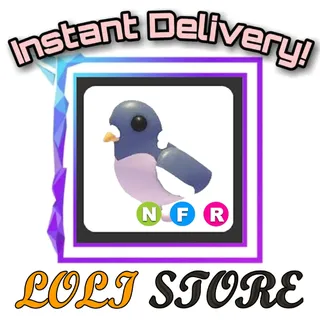 NFR Wood Pigeon