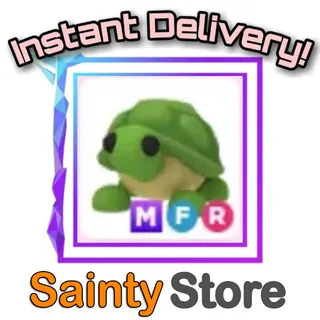 MFR Turtle